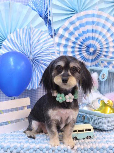 20231126エマちゃん